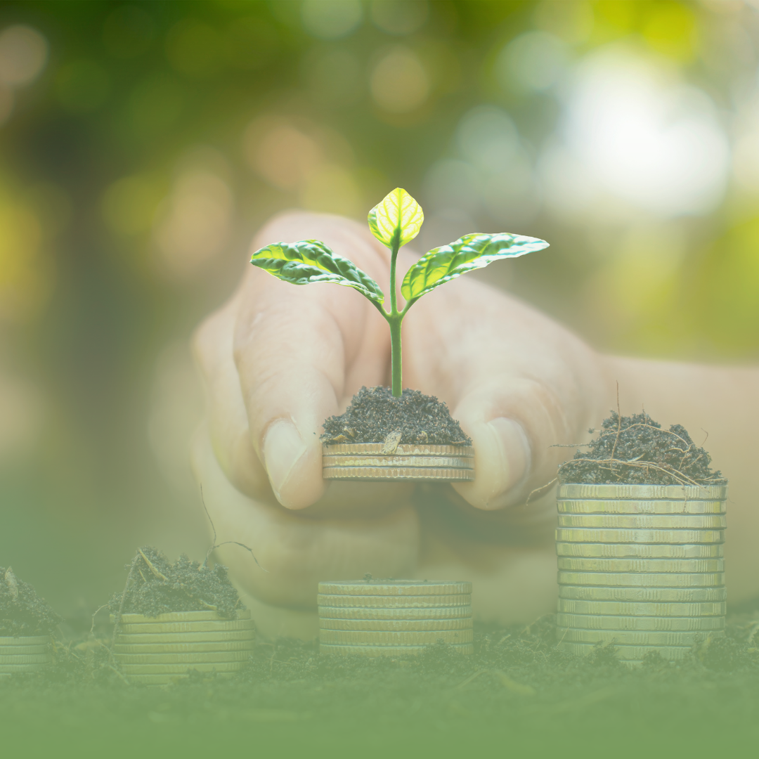 Consulting Package: Growth and Profit Development Coaching Program; 24 Coaching Hours